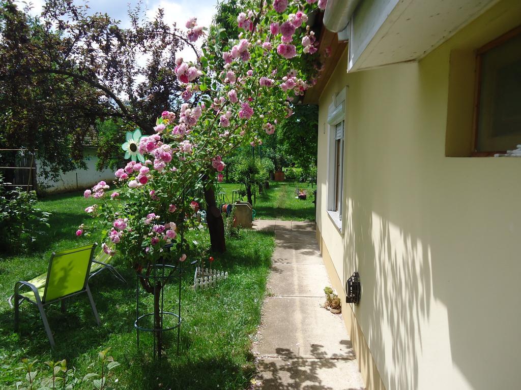 Вілла Vida-Lak Берекфірдив Номер фото